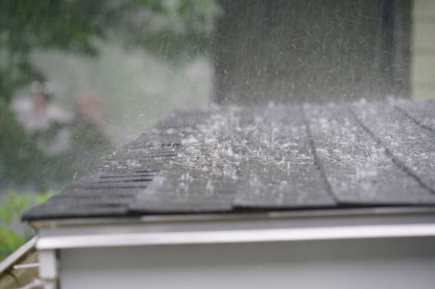 Best Roof Insulation Installation  in Girard, IL