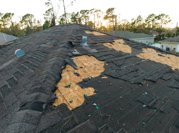Best Solar Panel Roofing Installation  in Girard, IL